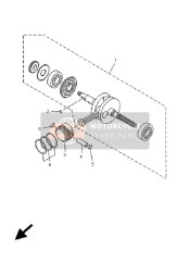 Crankshaft & Piston